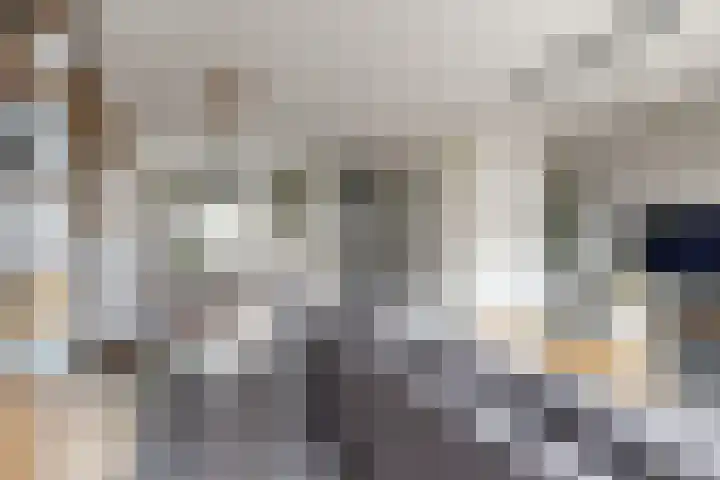 Sterappel 34 Fijnaart thumbnail 17