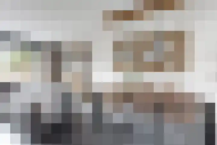 Sterappel 34 Fijnaart thumbnail 19