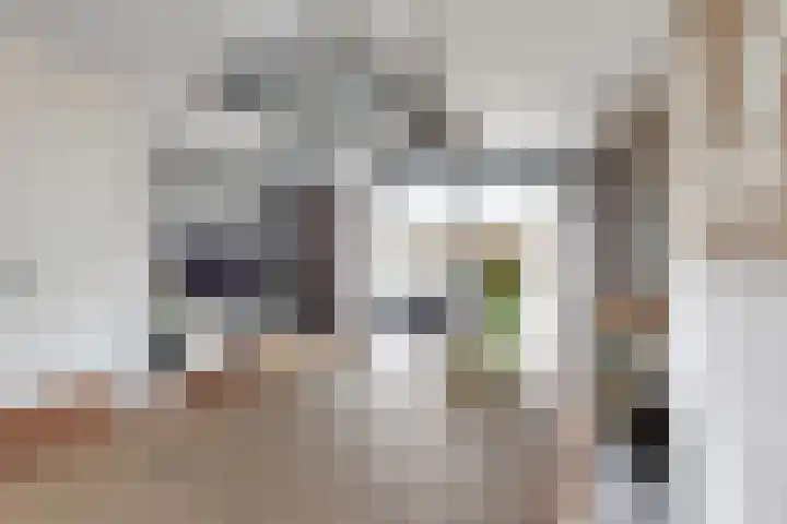 Sterappel 34 Fijnaart thumbnail 20