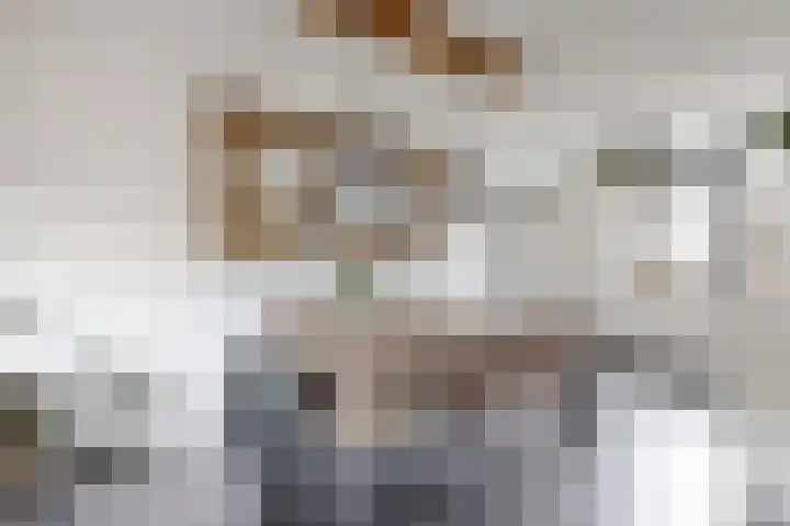 Sterappel 34 Fijnaart thumbnail 21