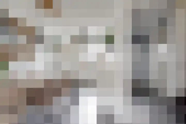 Sterappel 34 Fijnaart thumbnail 22