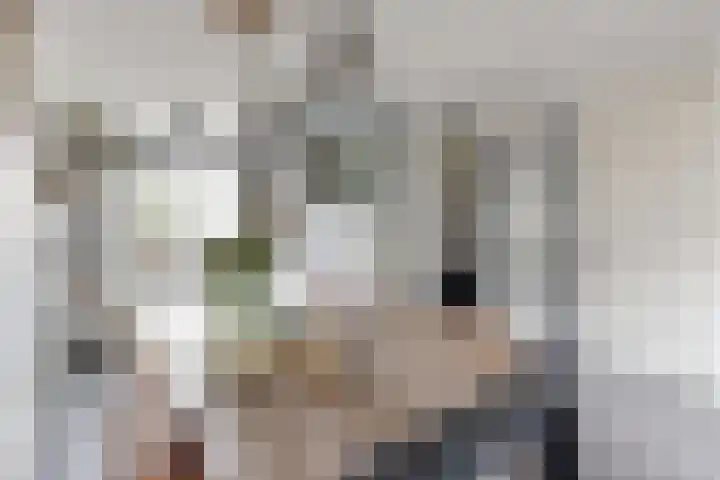 Sterappel 34 Fijnaart thumbnail 23