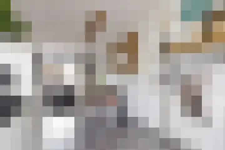 Sterappel 34 Fijnaart thumbnail 24