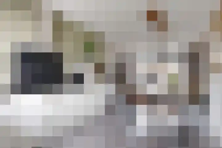 Sterappel 34 Fijnaart thumbnail 25
