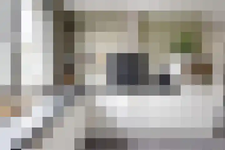 Sterappel 34 Fijnaart thumbnail 28