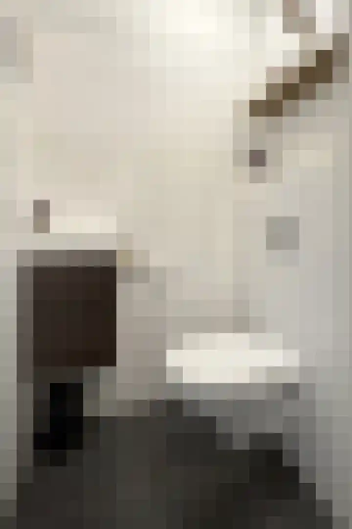 Sterappel 34 Fijnaart thumbnail 29
