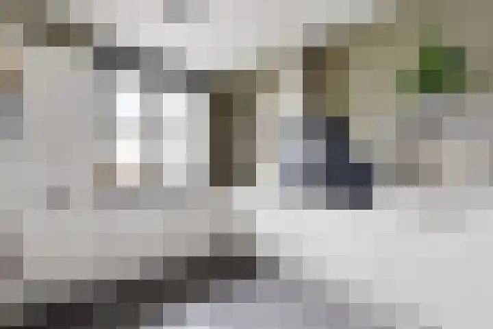 Sterappel 34 Fijnaart foto 3