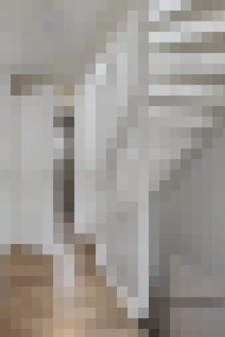Sterappel 34 Fijnaart thumbnail 30