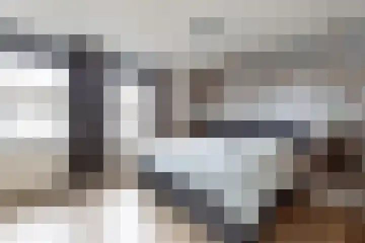 Sterappel 34 Fijnaart thumbnail 32