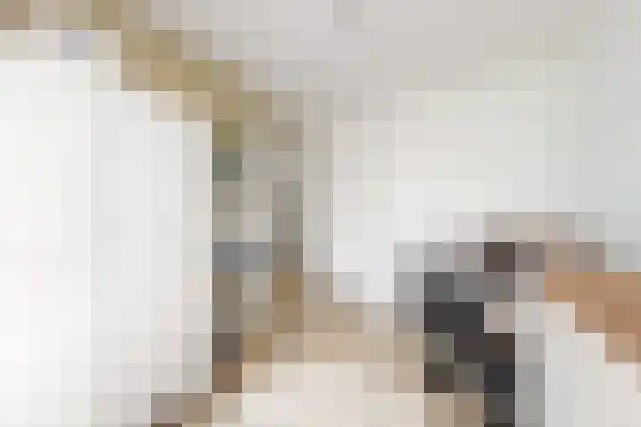 Sterappel 34 Fijnaart thumbnail 37