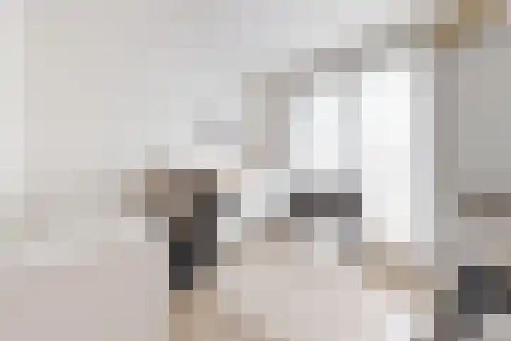 Sterappel 34 Fijnaart thumbnail 39