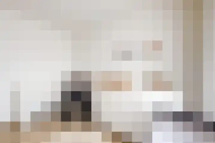 Sterappel 34 Fijnaart thumbnail 40