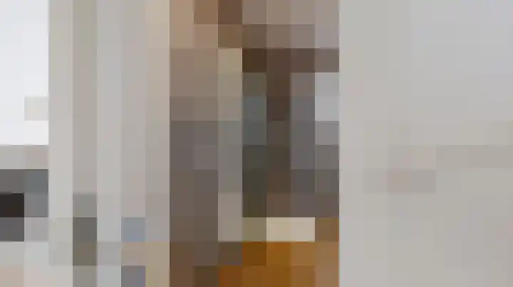 Sterappel 34 Fijnaart thumbnail 41
