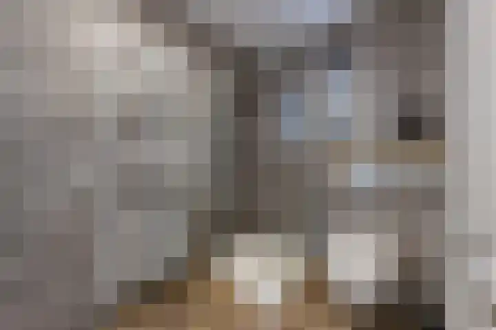 Sterappel 34 Fijnaart thumbnail 42