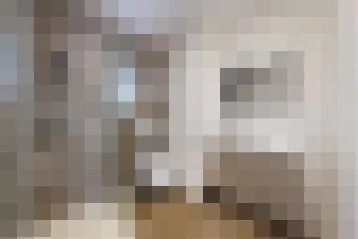 Sterappel 34 Fijnaart thumbnail 43