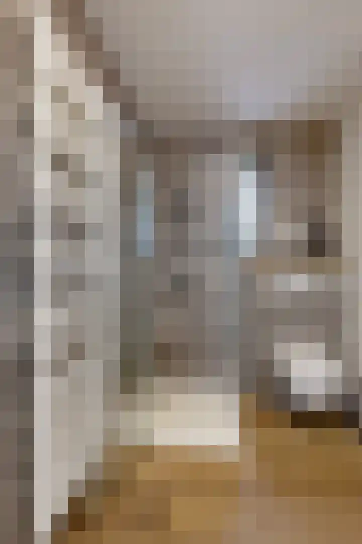 Sterappel 34 Fijnaart thumbnail 44