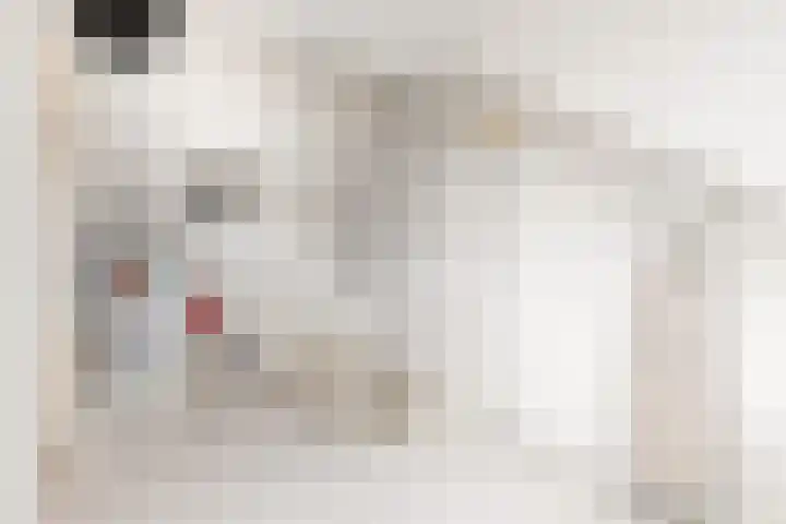 Sterappel 34 Fijnaart thumbnail 47