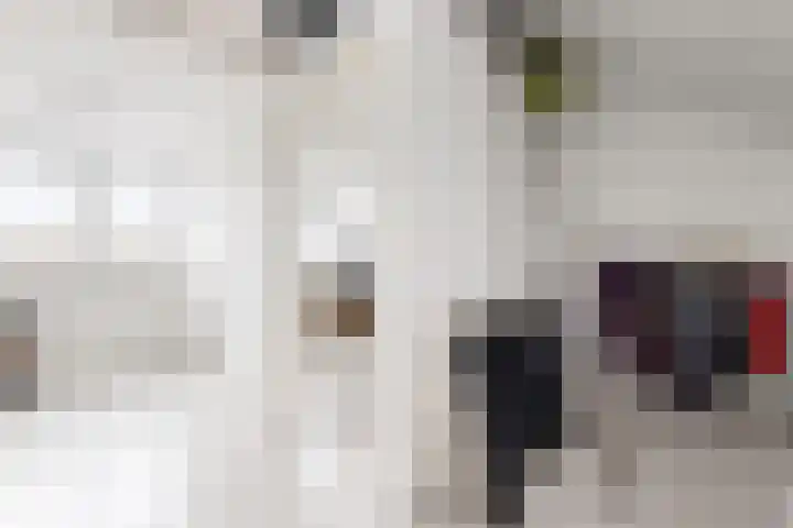 Sterappel 34 Fijnaart thumbnail 49