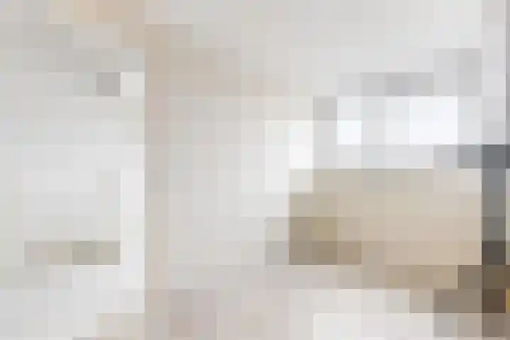 Sterappel 34 Fijnaart thumbnail 50
