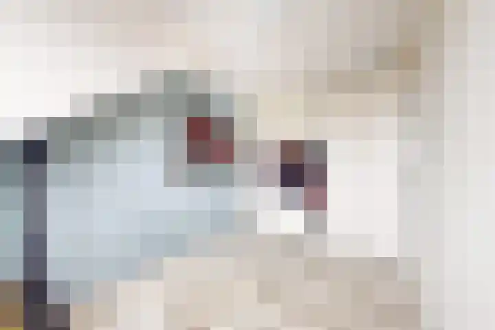 Sterappel 34 Fijnaart thumbnail 51