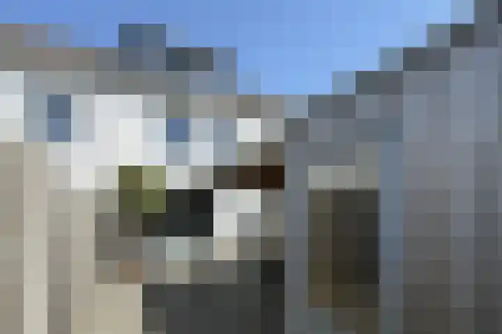 Sterappel 34 Fijnaart thumbnail 54