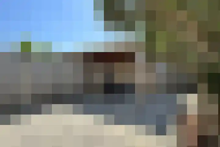 Sterappel 34 Fijnaart thumbnail 55