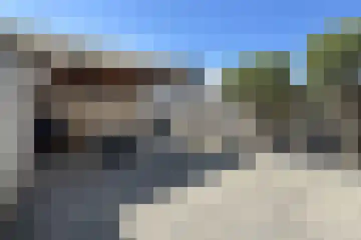 Sterappel 34 Fijnaart thumbnail 56