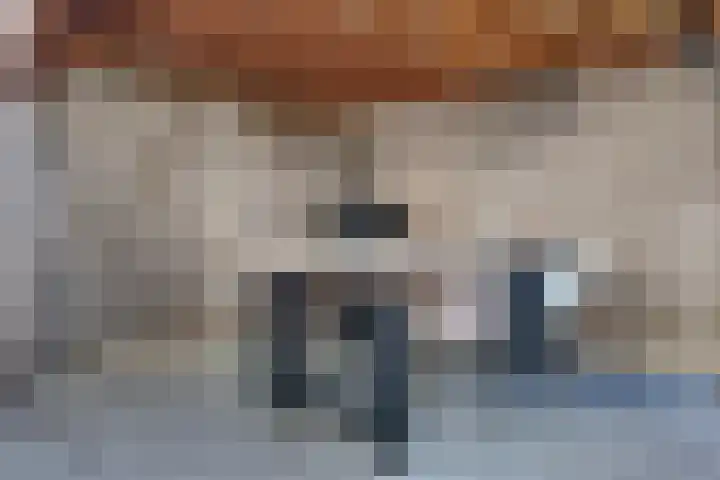 Sterappel 34 Fijnaart thumbnail 58