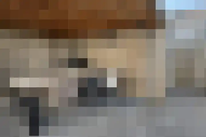 Sterappel 34 Fijnaart thumbnail 59