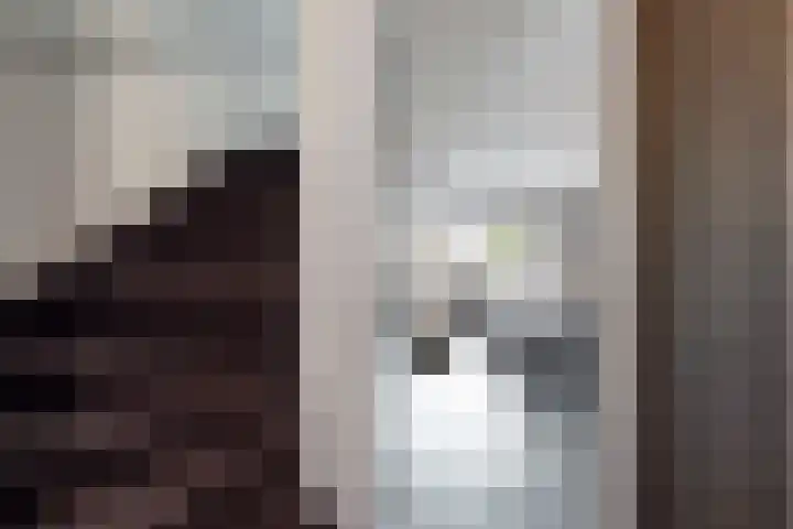 Sterappel 34 Fijnaart thumbnail 8