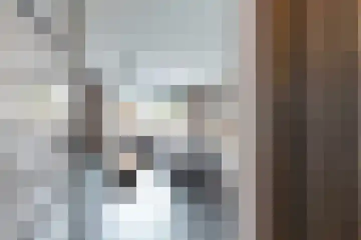 Sterappel 34 Fijnaart thumbnail 9