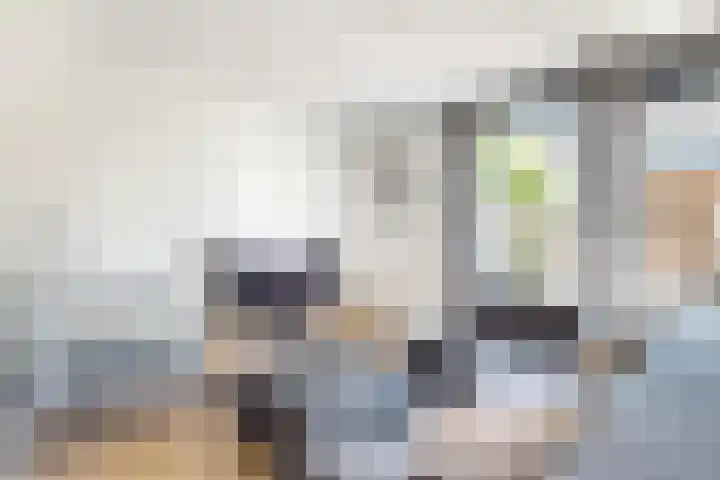 Sterappel 36 Fijnaart thumbnail 12