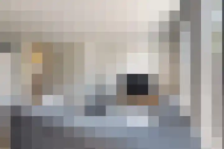 Sterappel 36 Fijnaart thumbnail 13