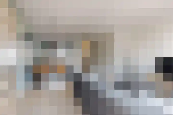 Sterappel 36 Fijnaart thumbnail 14