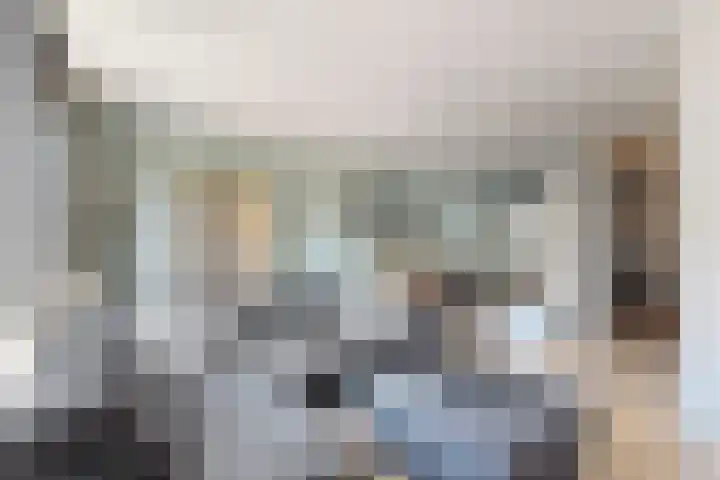 Sterappel 36 Fijnaart thumbnail 15