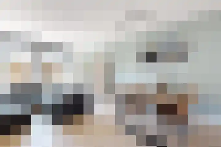 Sterappel 36 Fijnaart thumbnail 16