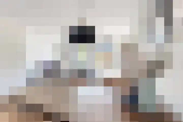 Sterappel 36 Fijnaart thumbnail 17