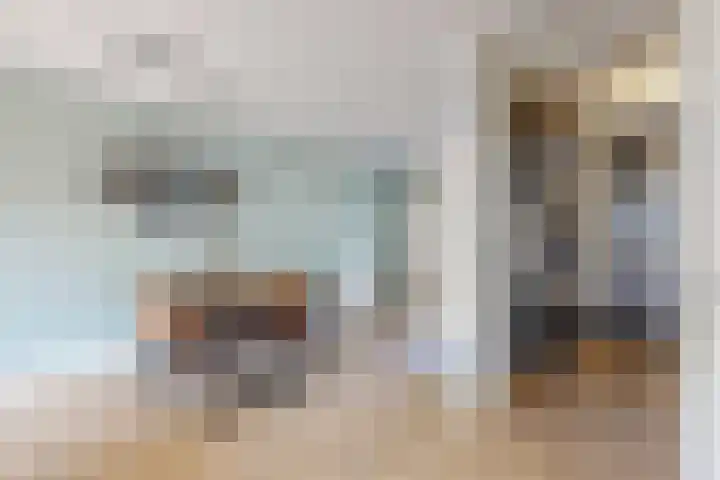 Sterappel 36 Fijnaart thumbnail 19