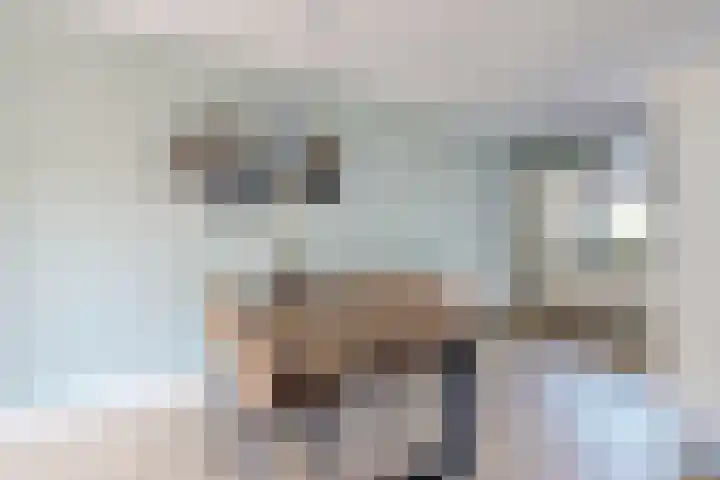 Sterappel 36 Fijnaart thumbnail 20