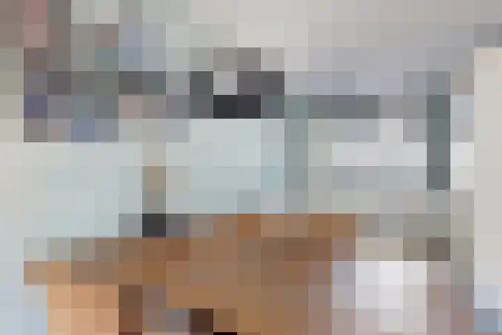 Sterappel 36 Fijnaart thumbnail 21