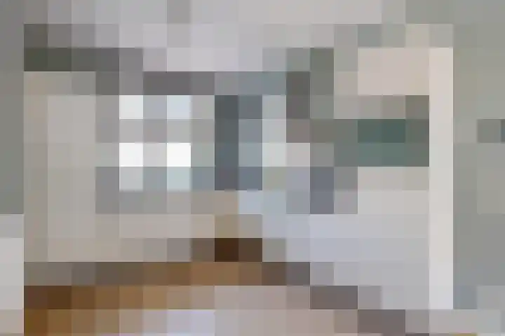 Sterappel 36 Fijnaart thumbnail 22
