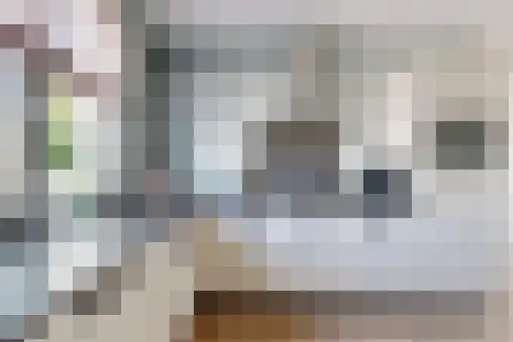 Sterappel 36 Fijnaart thumbnail 23