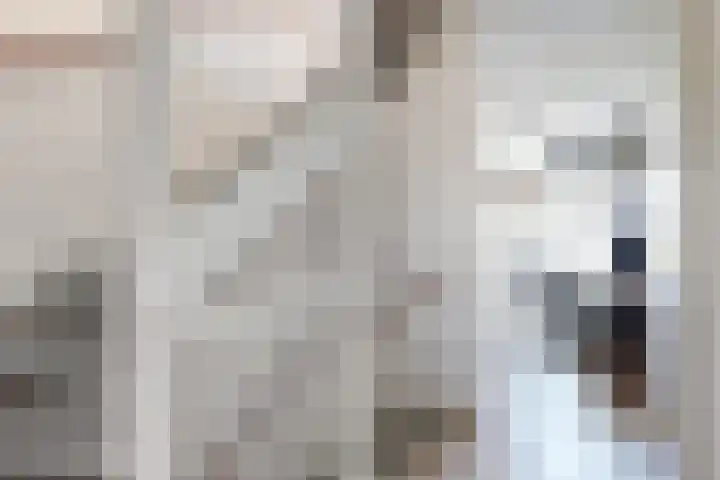 Sterappel 36 Fijnaart thumbnail 26