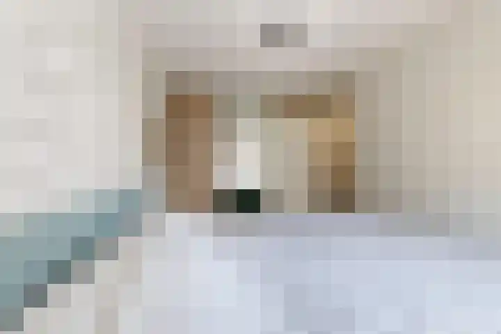 Sterappel 36 Fijnaart thumbnail 27