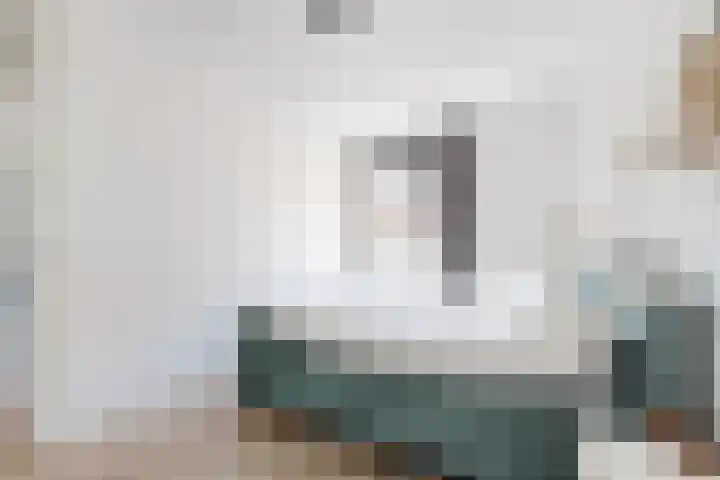 Sterappel 36 Fijnaart thumbnail 28