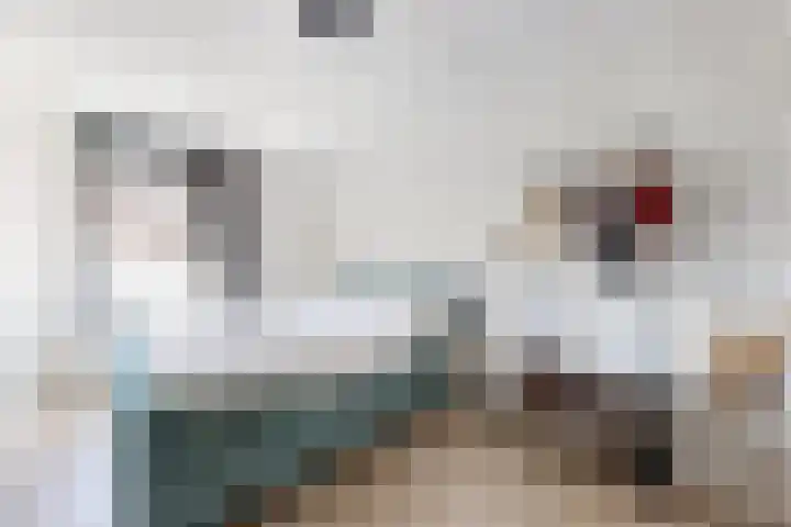 Sterappel 36 Fijnaart thumbnail 29