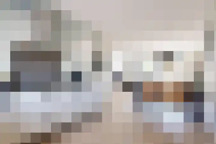Sterappel 36 Fijnaart foto 3