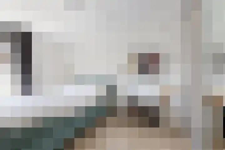 Sterappel 36 Fijnaart thumbnail 30