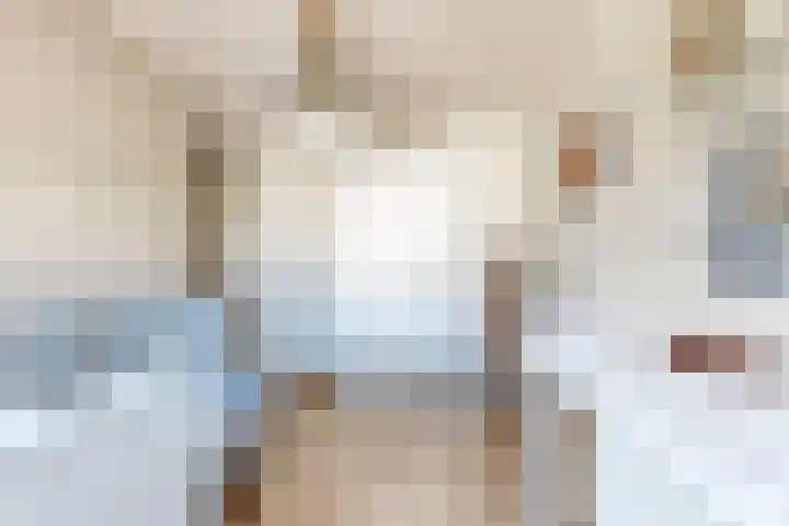Sterappel 36 Fijnaart thumbnail 31