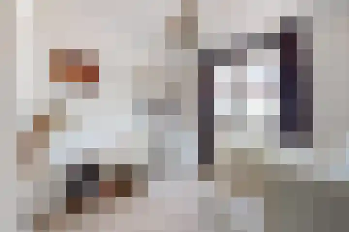 Sterappel 36 Fijnaart thumbnail 33